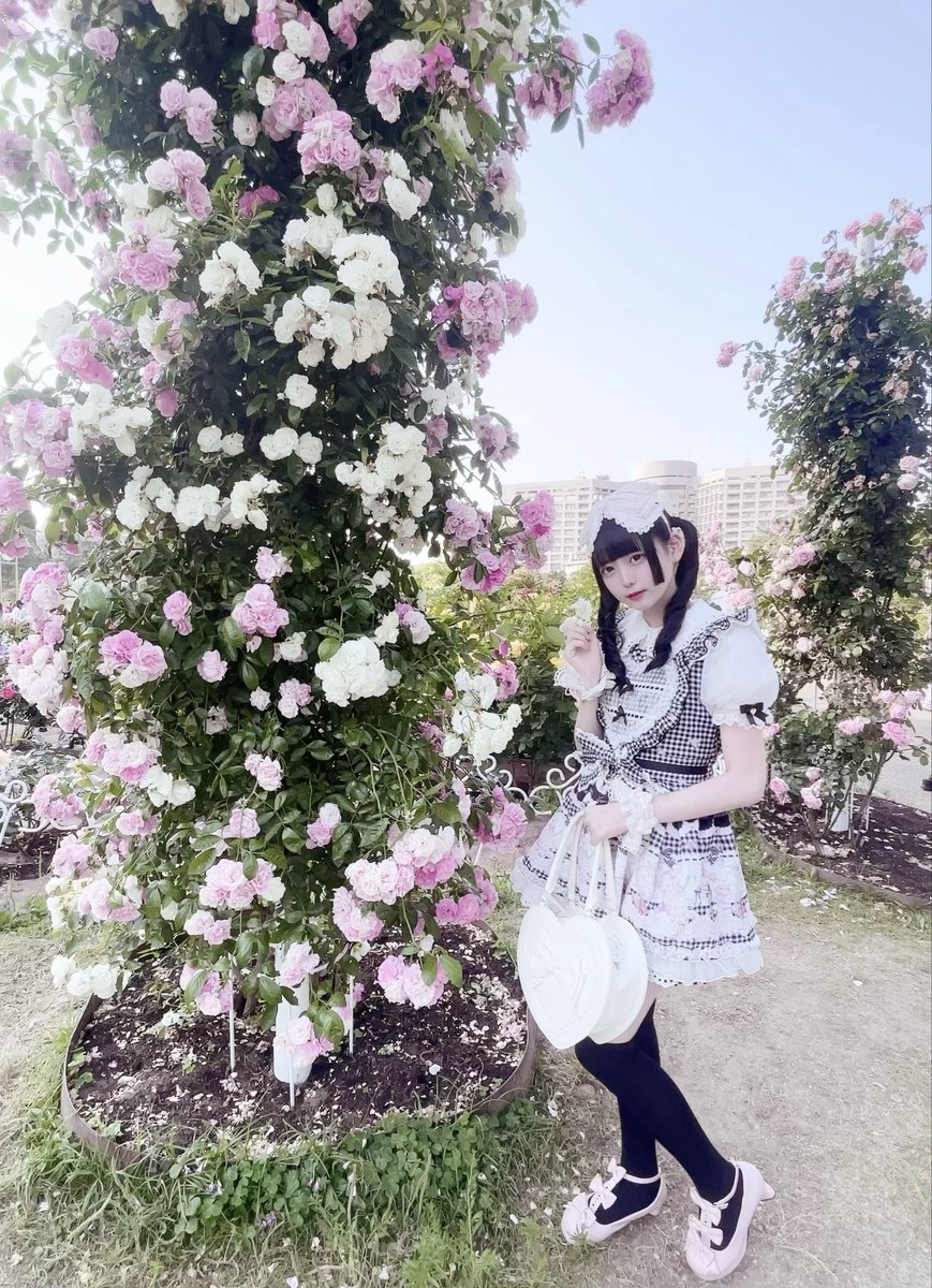 ひめり🎀 ᩚ tweet media