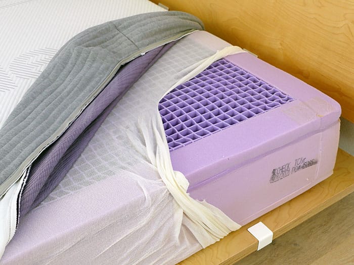 DoubleVesselPA's tweet photo. "...this section is massi- why is that one purple??" https://t.co/4IryOPovuV