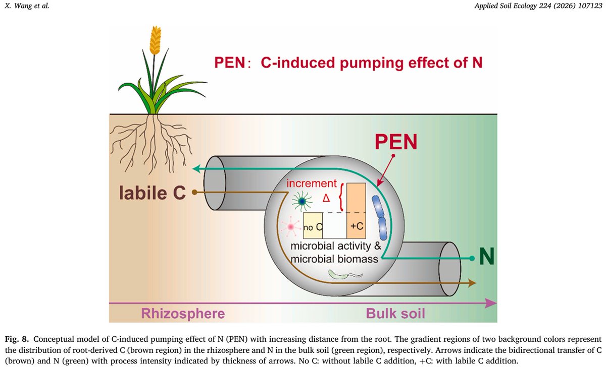 Yakov Kuzyakov . . . priming Soil Science tweet media
