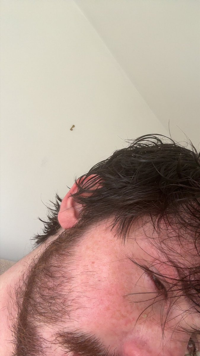 𝑵𝑪4-2 𝐎𝐒𝐈𝐑𝐈𝐒 tweet media