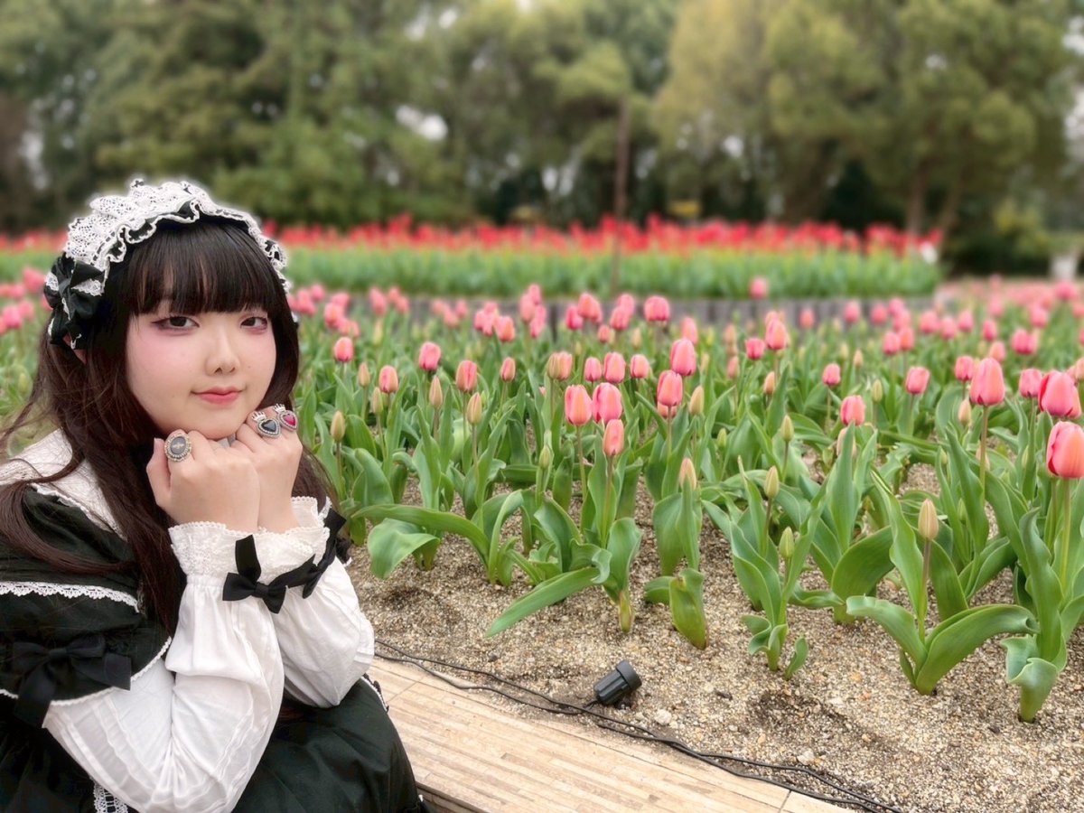 はにゅ〜 tweet media