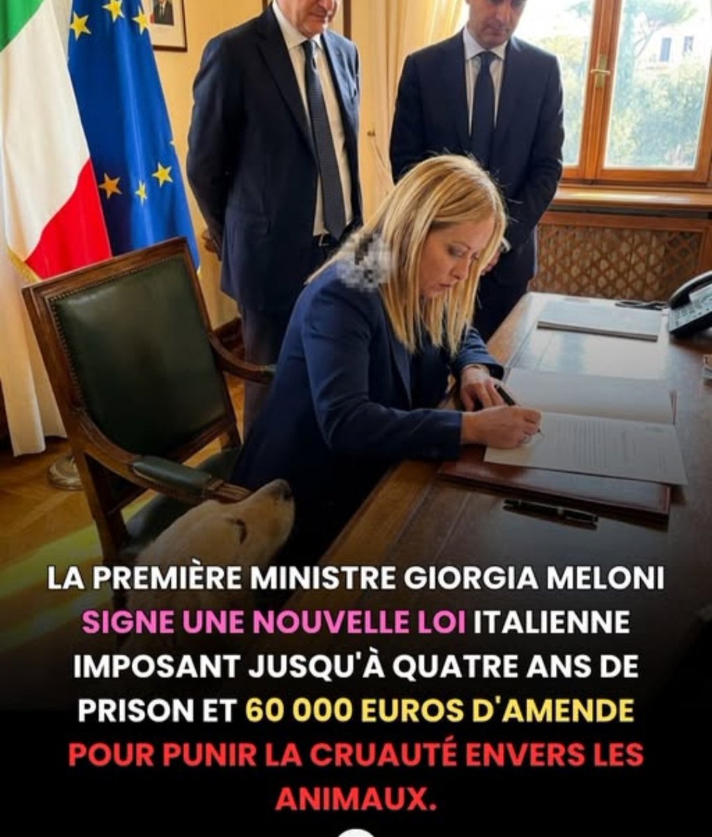 Richard21485963's tweet photo. À QUAND EN FRANCE 😡😡😡😡😡 https://t.co/SBRzeRPKBu