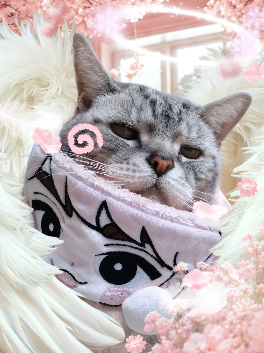 きょぅも遅くまで お疲れ様でした(ᯫ᳐ฅ´꒳`ᯫ᳐)ฅ⸃⸃ シャチちゃ