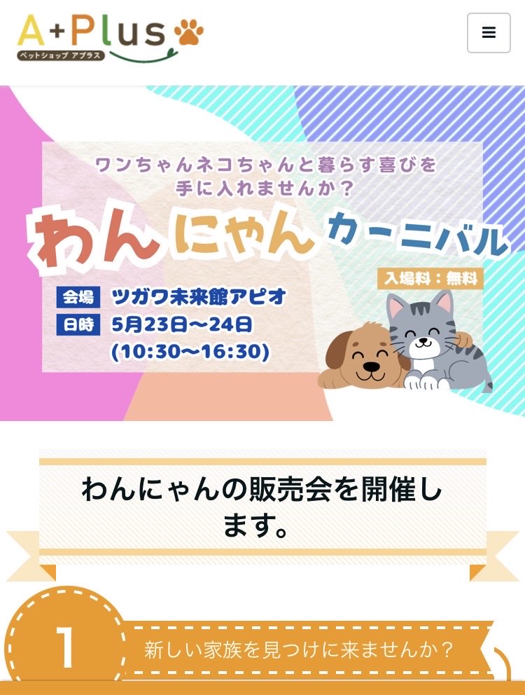 きなこもち tweet media