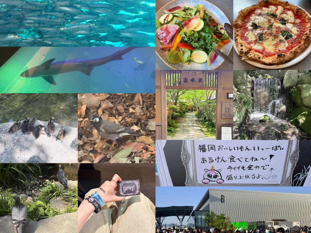 おそ is always mine tweet media