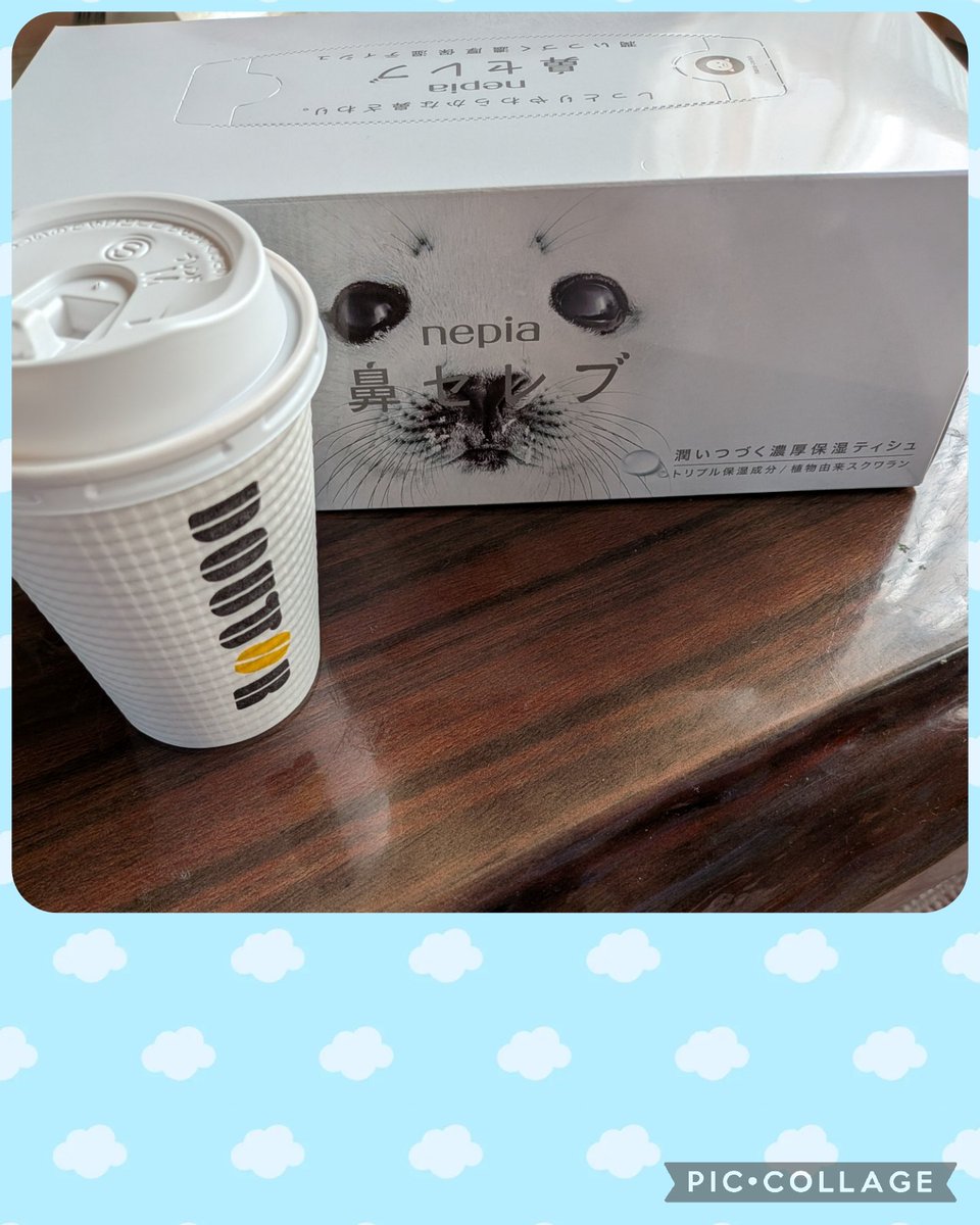 AyaAvutan's tweet photo. ガソリン⛽️入れに立ち寄ったら、頂いた鼻セレブ😆戦利品（笑）
そして、今日はドトールコーヒー☕

今日も良いこといっぱい😊
幸せだぁ✨
ちょこちょこ断捨離してた🍀 https://t.co/fQqCxa9hoV
