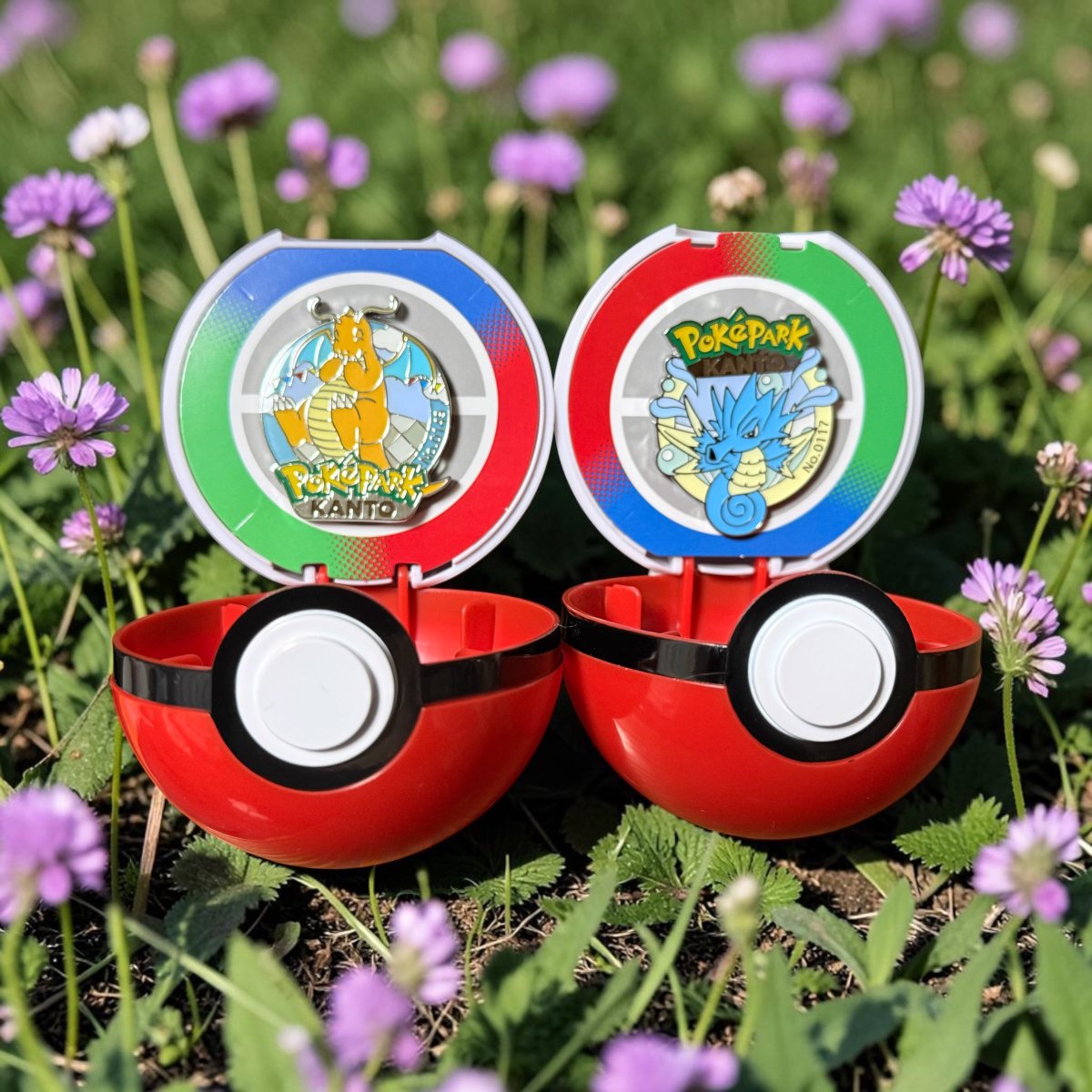 ポケパークカントーで ゲットしてきた 1人1個しか 購入できなかった