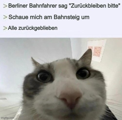 Plattenbauaristokrat tweet media