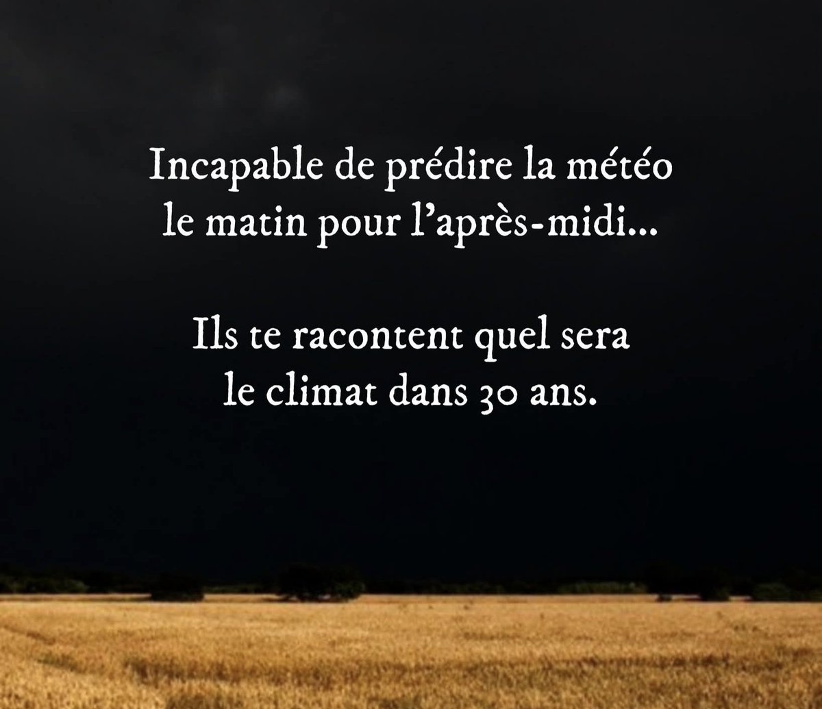 Sagesse Pure tweet media