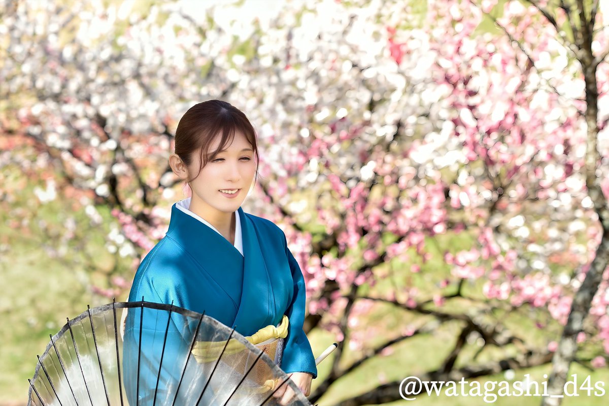 たぬきち (@tanuki_eto13th) / Posts / X