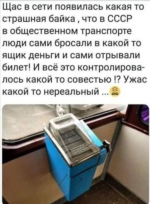 dama bez sobachky tweet media