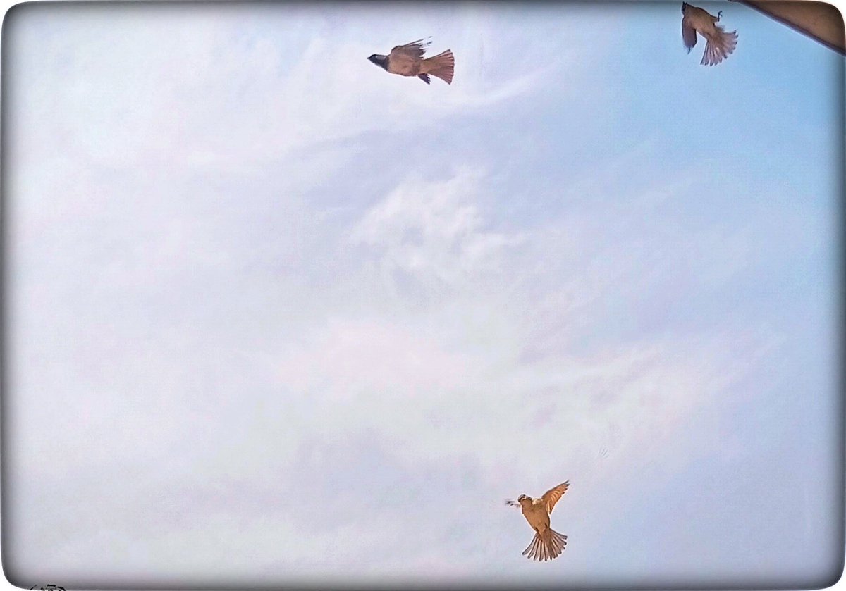 🍁𝓤𝓶𝓶𝓮 𝓐𝓲𝓶𝓪𝓷🍁 tweet media