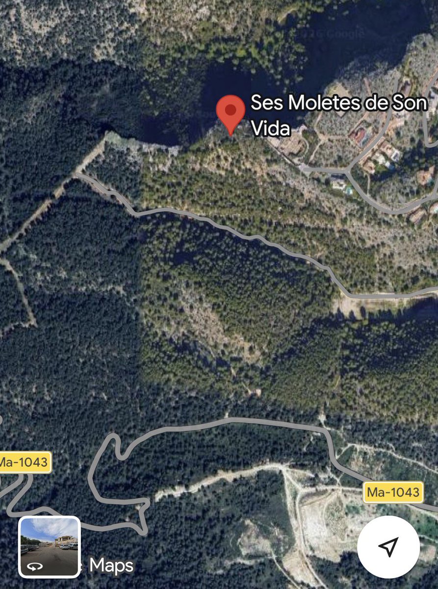 son_quint's tweet photo. @Terraferida @joanturrebassa Son Vida, encara que sembli mentida, conserva grans valors naturals i paisatgístics que s’han de preservar i protegir. L’Impost Turístic hauria de fer possible la protecció de les Moletes de Son Vida (150 Ha). https://t.co/6ooAWkQFIX
