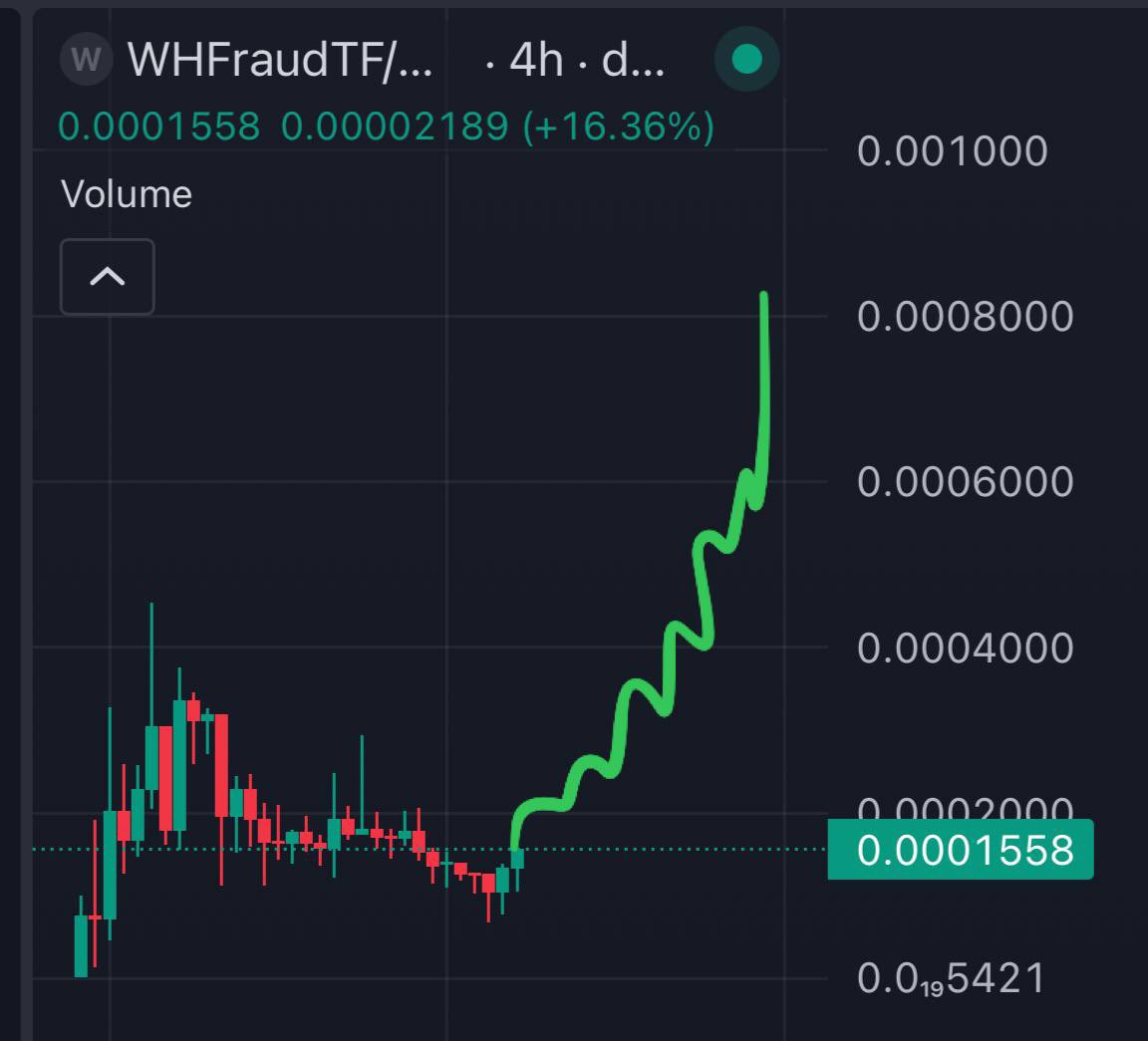 CSWhale.Eth tweet media