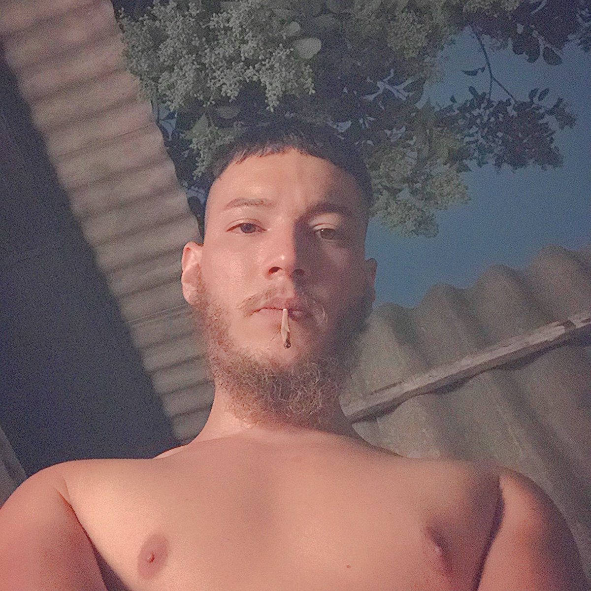 777W1NS's tweet photo. Smoke w33d everyday 🔱🐉✨🪐 #gay https://t.co/sLKL6EaLvJ