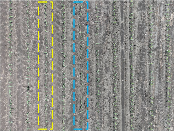 Precision Farming Dealer tweet media
