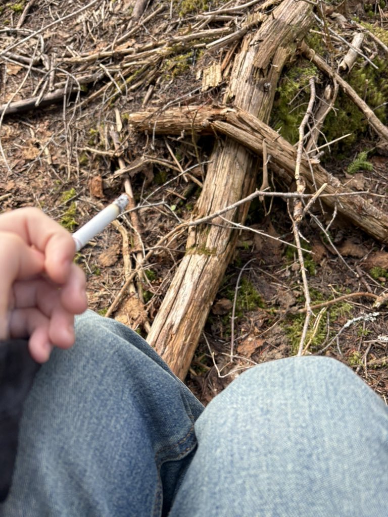 ESCAPEPARADIISE's tweet photo. in the woods rn. my service is bad https://t.co/je0SeDd4Wk