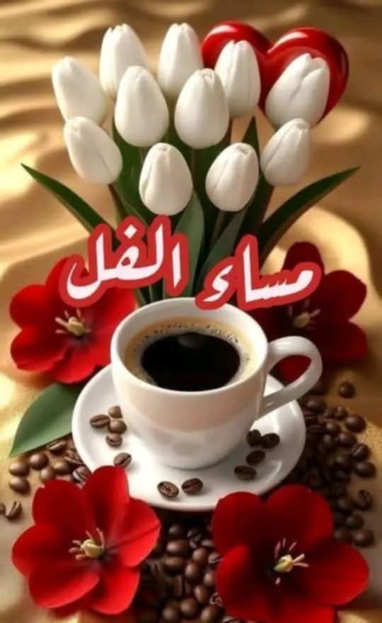 زهرة التيوليب سهي سيف🌷 tweet media