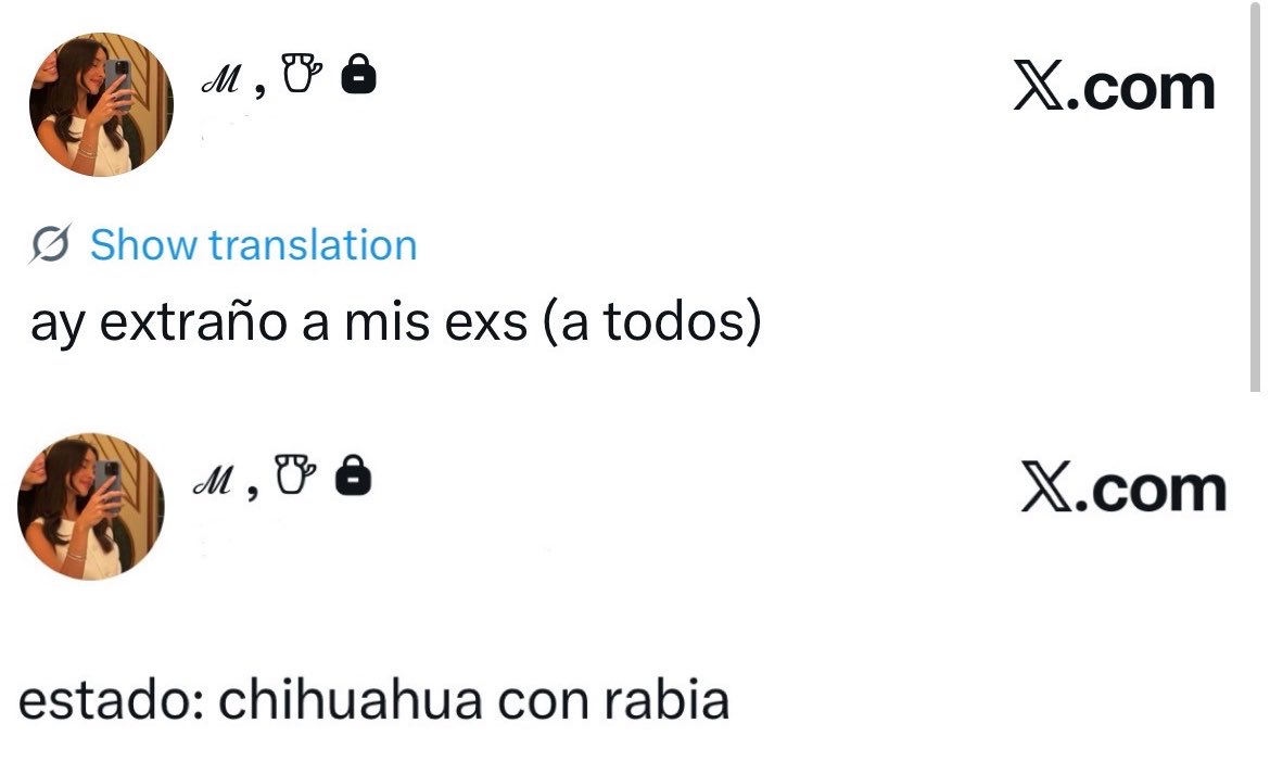 Marianne, 𑣿 tweet media
