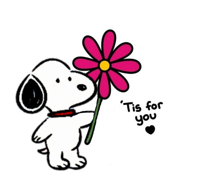SnoopyFansUS's tweet photo. Snoopy 🌷💕 https://t.co/H9nYwlL2Yo
