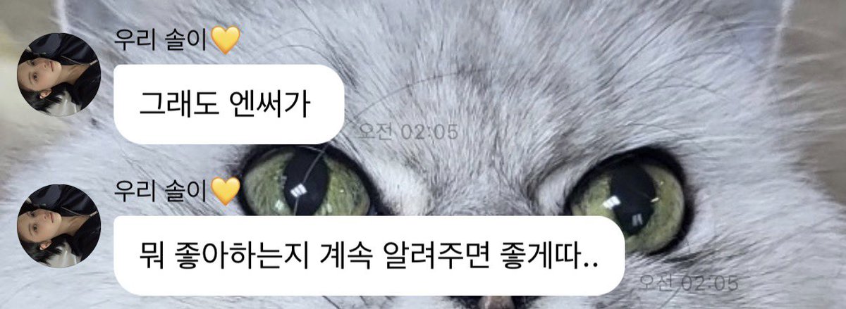 두곰 tweet media