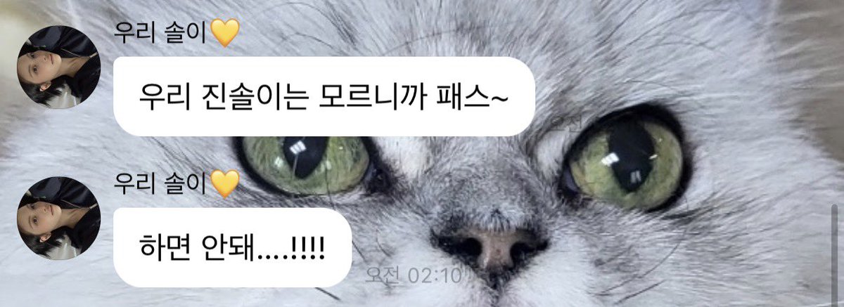 두곰 tweet media