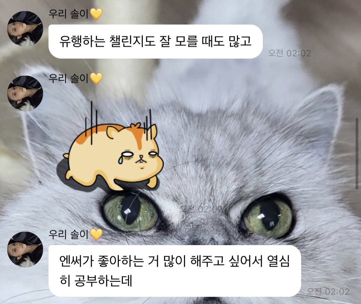 두곰 tweet media