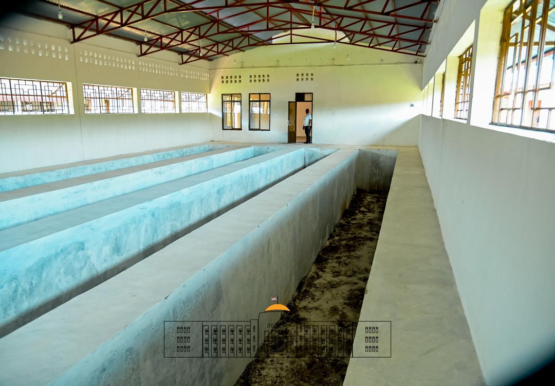 Ntare Rushatsi House tweet media