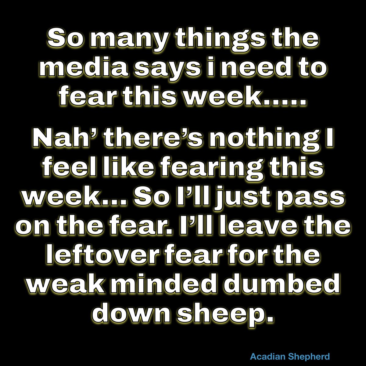 The Original Acadian Shepherd tweet media
