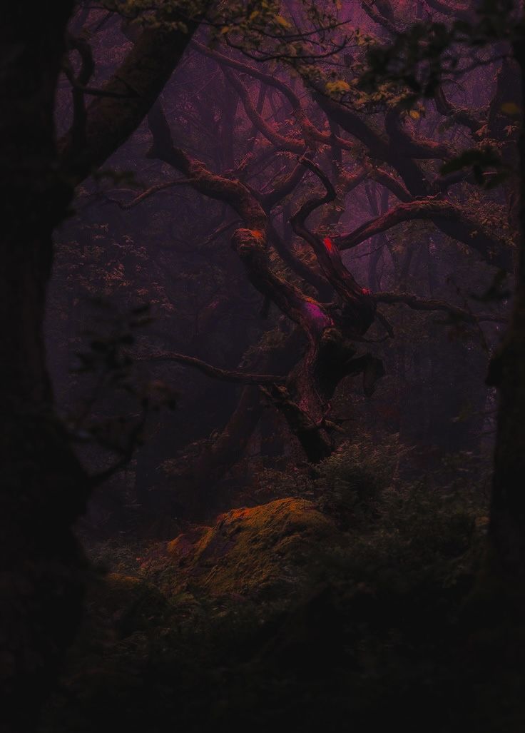aestheticpost's tweet photo. purple twilight. https://t.co/BFeErxRkfR