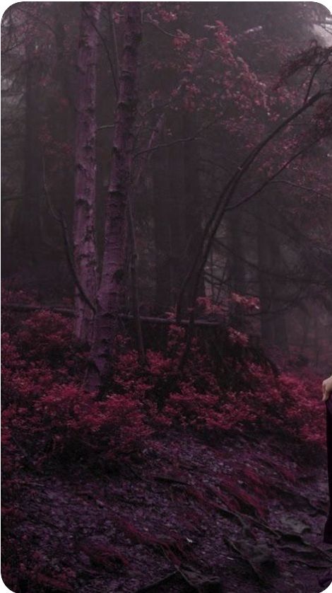aestheticpost's tweet photo. purple twilight. https://t.co/BFeErxRkfR