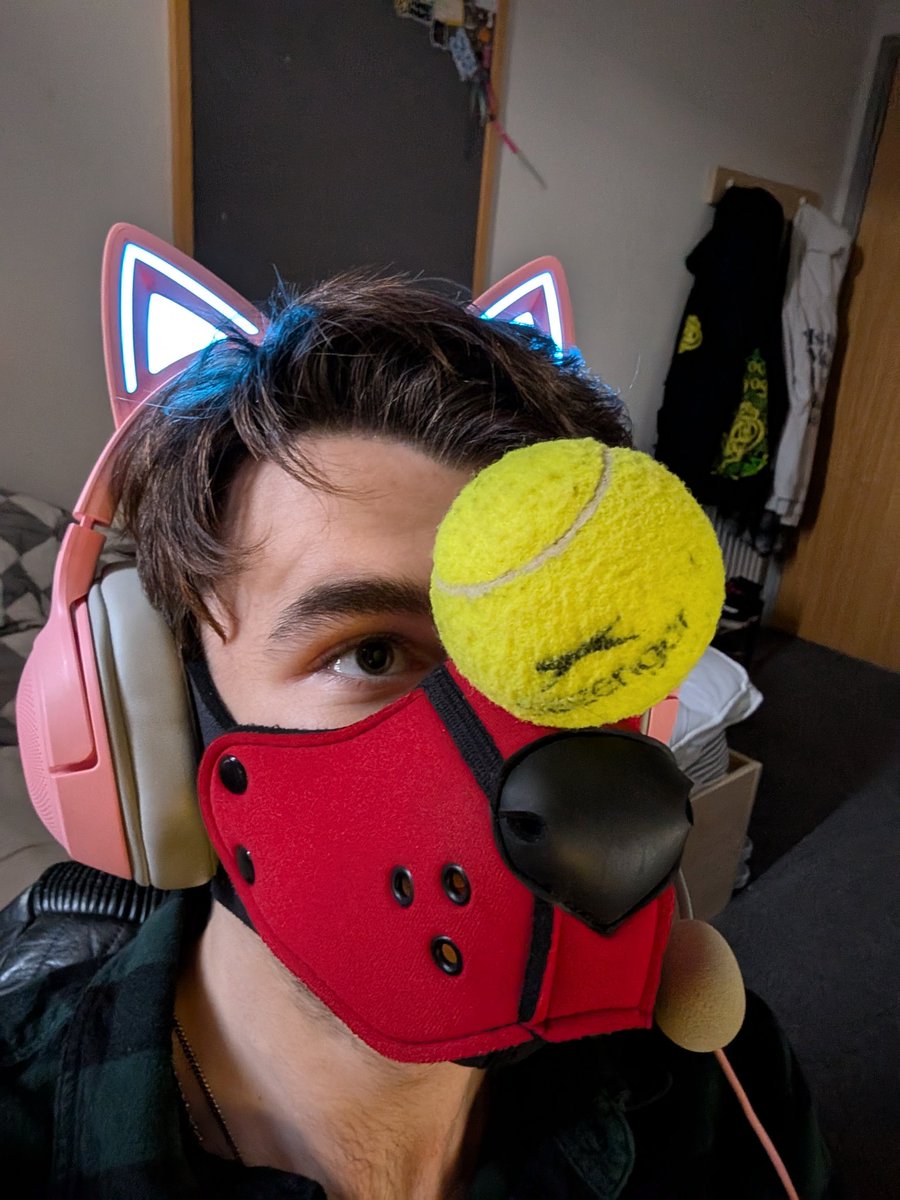 Padded Pup Riot :3 tweet media