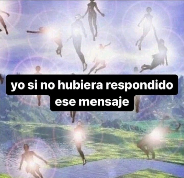 Quilombola tweet media