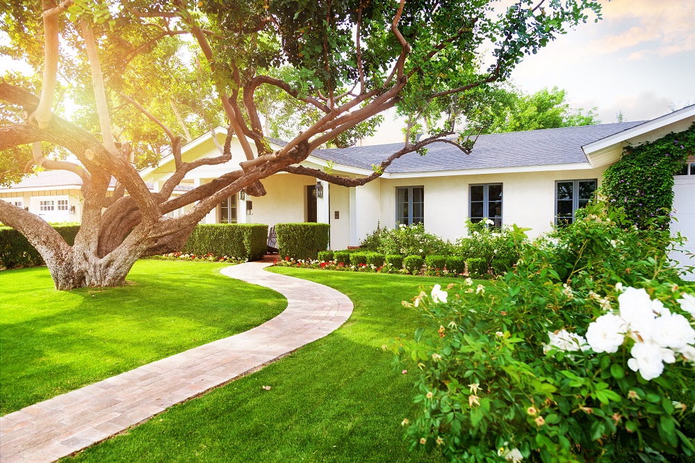 AguileraRealty's tweet photo. One Story Living https://t.co/aeyRJMdUTU https://t.co/OcYxw4onW5
