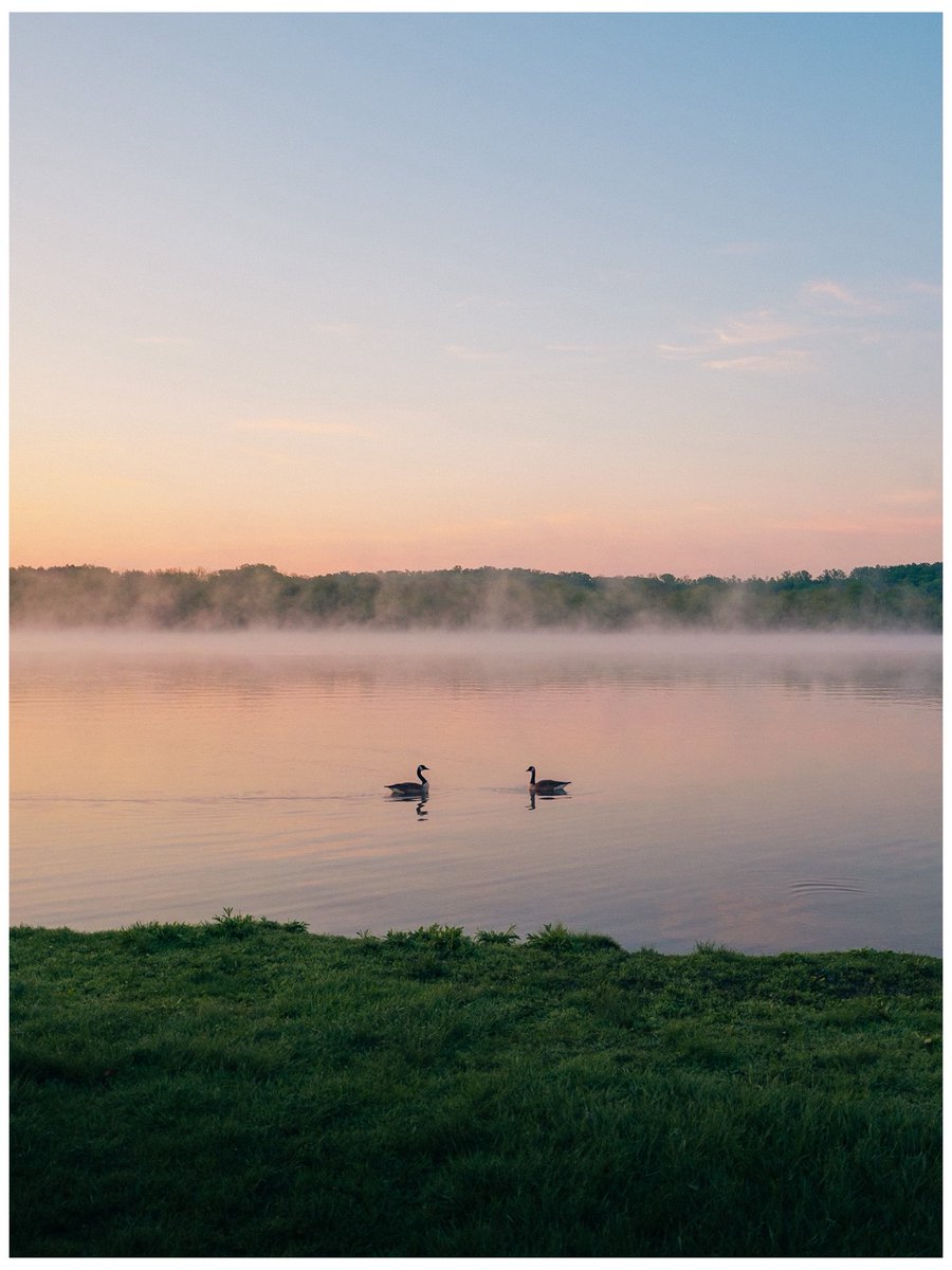 nev_in_color's tweet photo. mornings by the lake. https://t.co/db6ngTwhdV