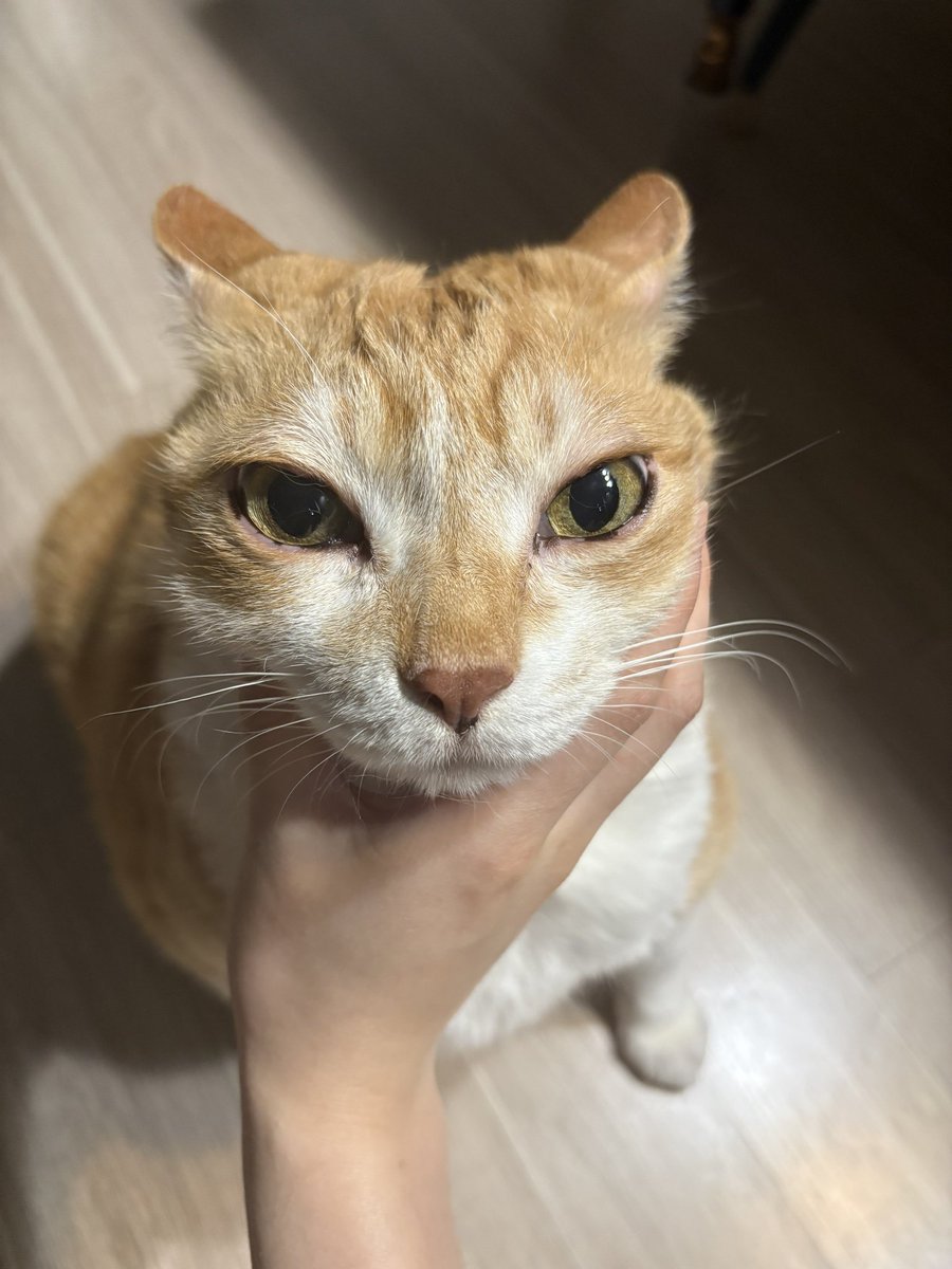 Tekhion's tweet photo. a veces me quedo pensando la puta mierda de compañeros de piso que tengo hasta que veo lo que me cuentan de otro con quien podria haber acabado y no es para tanto (no) https://t.co/7zcg8jadMl