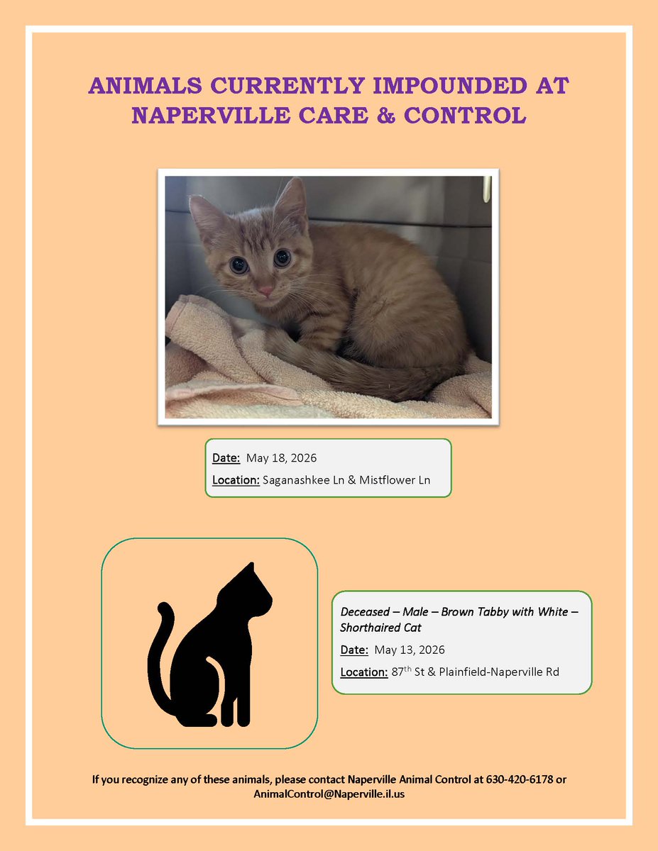 NapervillePD tweet media