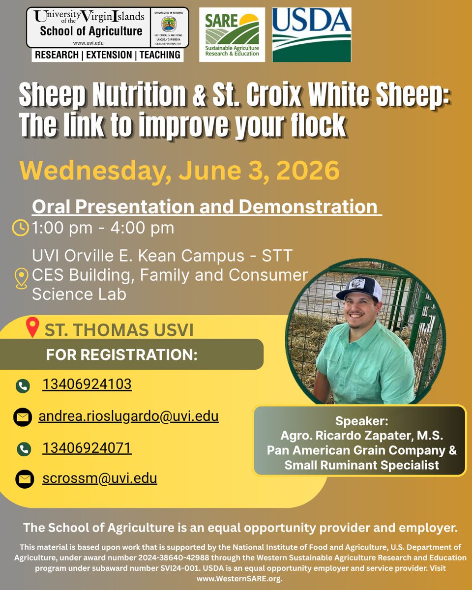 uvisoa's tweet photo. There will be a will be oral presentations and demonstrations called "Sheep Nutrition &amp; St. Croix White Sheep: The link to improve your flock" on St. Croix and St. Thomas!

St. Croix- Tuesday, June 2, 2026
St. Thomas - Wednesday, June 3, 2026 https://t.co/pl8NsJI1GS