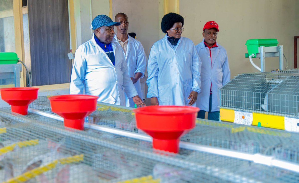 BMineagrie's tweet photo. Ce 18/05/2026,le Président @GeneralNeva accompagné du Ministre @BMineagrie et @MielsBurundi a effectué une visite de chantier d'un centre naisseur de multiplicatº génétik de lapins de #Karusi,au centre naisseur primaire de #Mutobo et de multiplicatº génétik de #Kibimba. https://t.co/MwNV6aMpC5