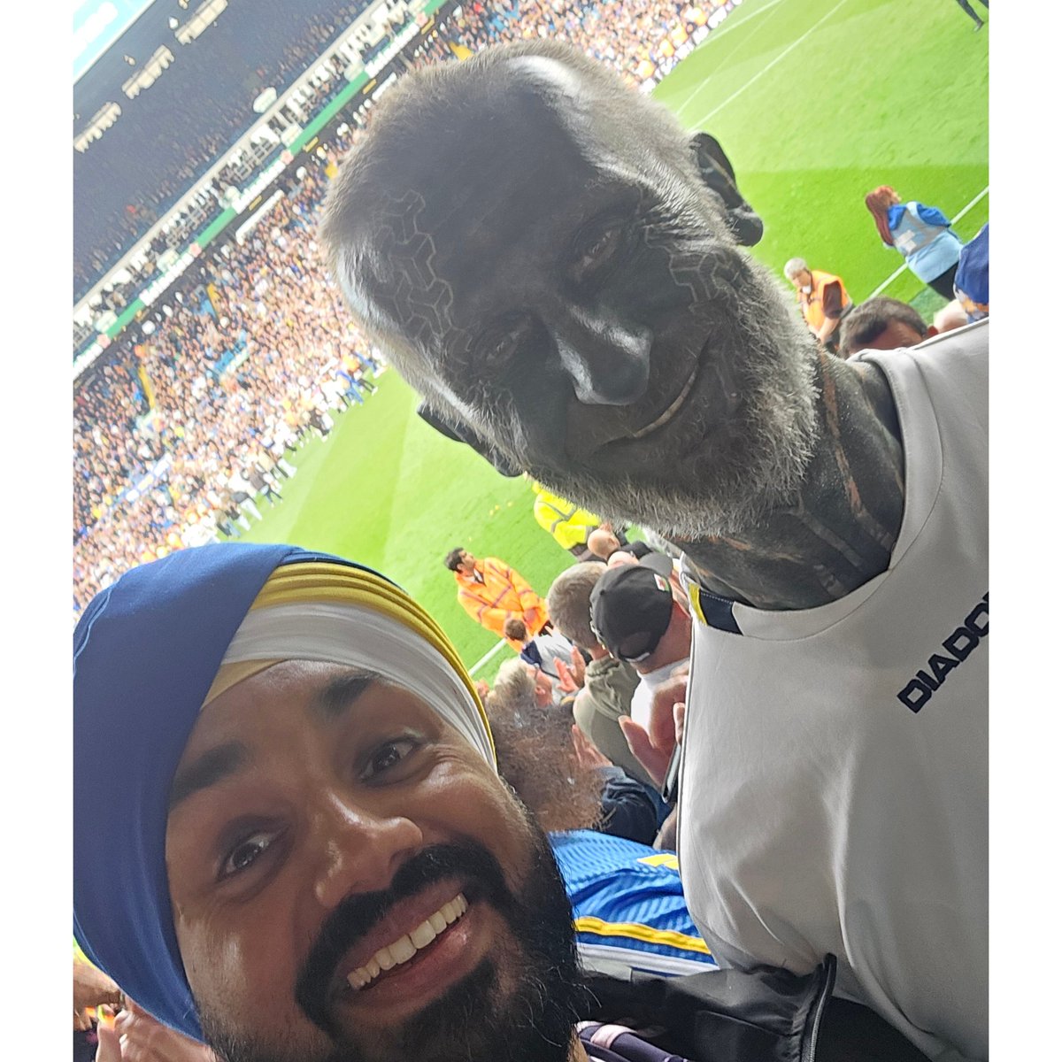Punjabi Whites tweet media