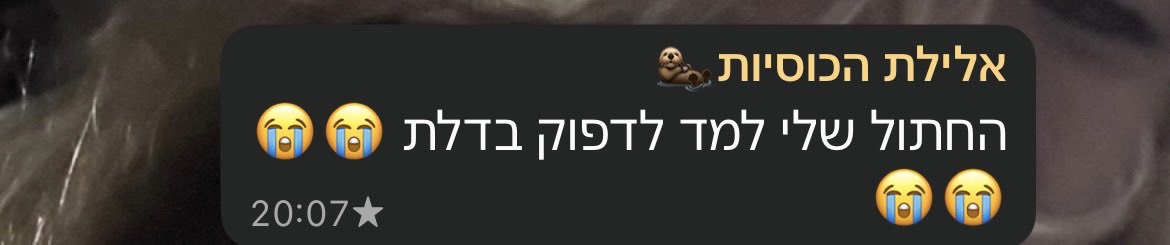 ronkiheller's tweet photo. לפחות הוא מנומס https://t.co/WtgxUL3NpT