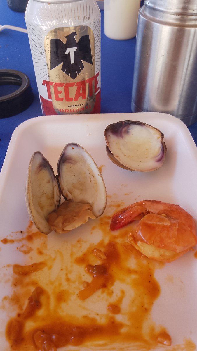 AdLoSo1's tweet photo. 🎶🏁🎵🚴🏻🎶🏖️🎵😋🎶 riquísimo en mariscos el cepillo 🪥 del golfo de Santa Clara , Sonora , México . https://t.co/PyNjodVSfn