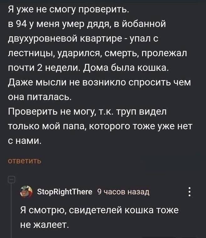 Дантес tweet media