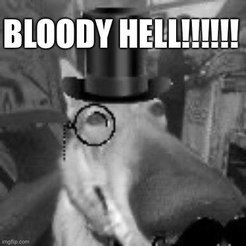 venomantis's tweet photo. @AndrewAssassins Italian by birth but yea- https://t.co/e7iiRisDjl