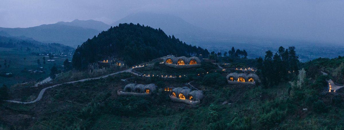 Bwindi Gorilla Trekking Safari Company tweet media