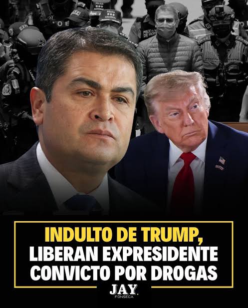 Mojo tweet media