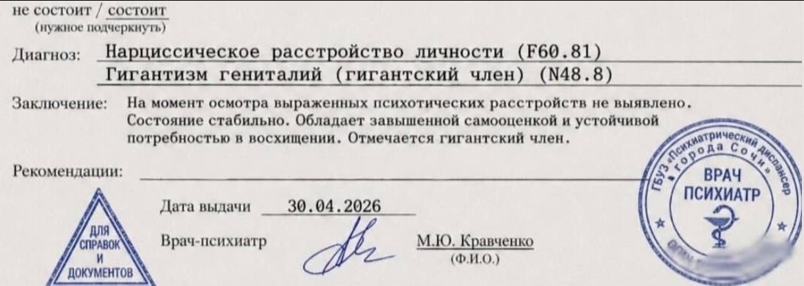 грибница тихий дом tweet media