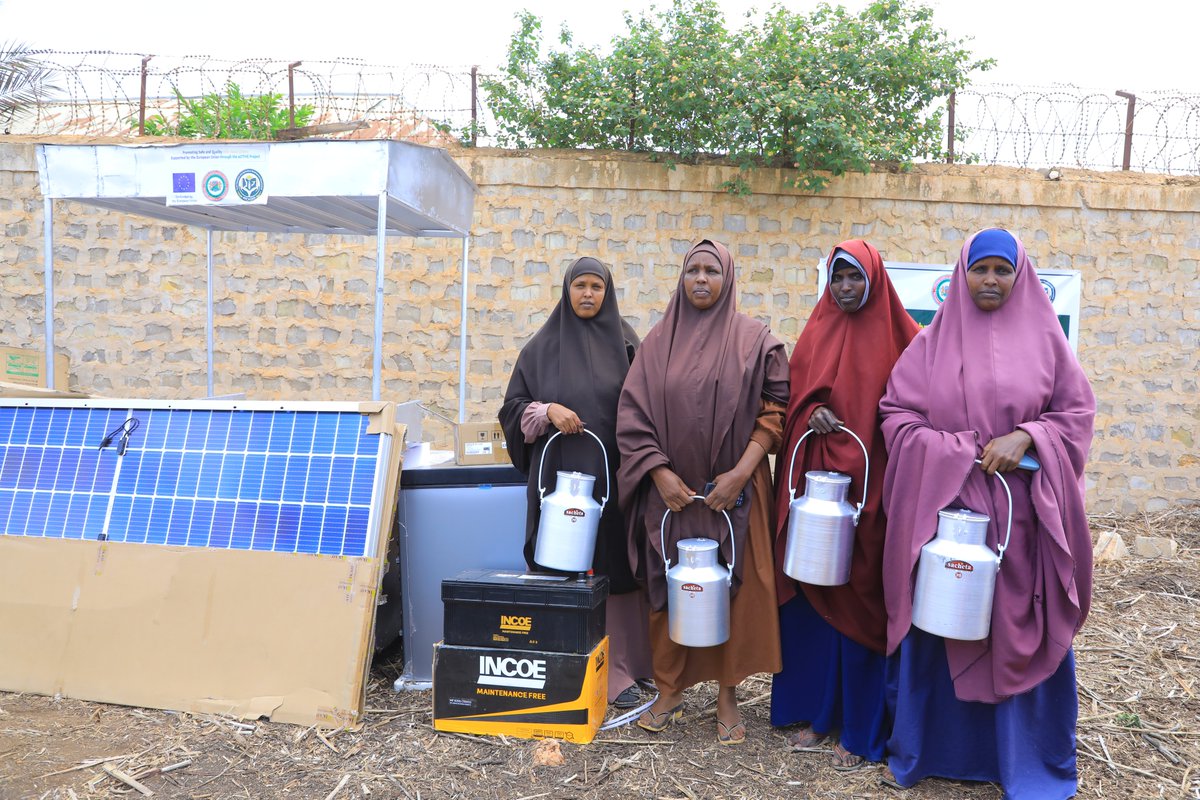 reado_org's tweet photo. Women milk producers in Baidoa recently received solar cold-chain equipment with massive support from @EU_in_Somalia, @adra_somali and @MoEWRSo. Less spoilage means better income for women-led cooperatives driving sustainable economic empowerment in the region. #WomenEmpowerment https://t.co/LxCMy9AXZf