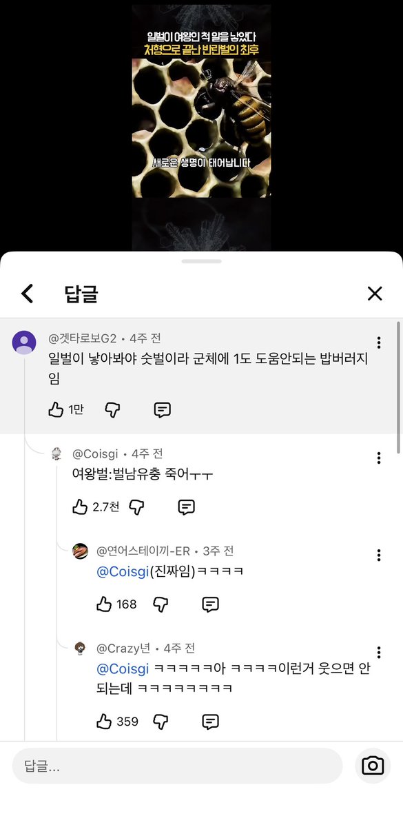 점박이 tweet media