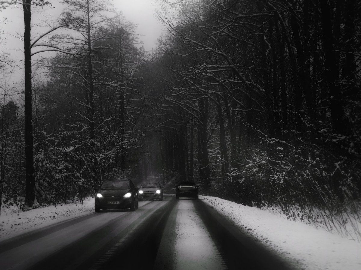 Maksymilian2026's tweet photo. Only the cold... and whatever's waiting ahead.
#WinterRoad #DarkAesthetic #FrozenForest #IntoTheUnknown
#blackandwhite #myPhoto https://t.co/gVLFMNCt3T